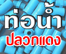 บริษัท ท่อน้ำ ปลวกแดง จำกัด