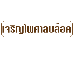 ห้างหุ้นส่วนจำกัด เจริญไพศาลบล๊อค เชียงใหม่ 