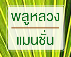 ที่พักอู่ทอง พลูหลวงแมนชั่น สุพรรณบุรี