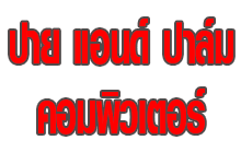 ปาย แอนด์ ปาล์ม คอมพิวเตอร์