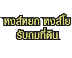 รับเหมาถมดิน รับหน้าดิน ถมที่ คลองหลวง ปทุมธานี