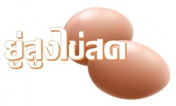 Wholesale farm eggs, farm eggs, Chonburi, retail, wholesale eggs from the farm At the price of the farm face Including jumbo egg