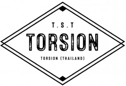 ขายส่งมอเตอร์ไฟฟ้า ราคาโรงงาน - ทอร์ชั่น (ไทยแลนด์)