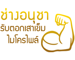 รับตอกเสาเข็มไมโครไพล์ปทุมธานี รังสิต - ช่างอนุชา รับตอกเสาเข็ม