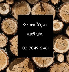 ร้านขายไม้ยูคา เข็มไม้ยูคา เข็มไม้ เสาเข็มไม้ ไม้เสาเข็ม ไม้แบบสำหรับก่อสร้าง เสายูคา  พร้อมส่ง ศรีราชา ชลบุรี