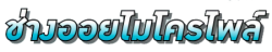 ช่างออยไมโครไพล์