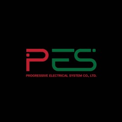 PSS Progressive Security System