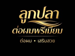 ร้านต่อผม กรุงเทพ บริการต่อไฮไลท์ ทำสีผม ถักเปียไหมสี มี 2 สาขาให้เลือกใช้บริการ สาขาสายใต้ใหม่ และ สาขาเพชรเกษม 110 