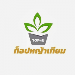 หญ้าเทียมราคาส่ง รับติดตั้งหญ้าเทียมพรีเมียม ระดับมืออาชีพ กรุงเทพ นนทบุรี ปทุมธานี การันตี 1 ปี มาตรฐาน SCG