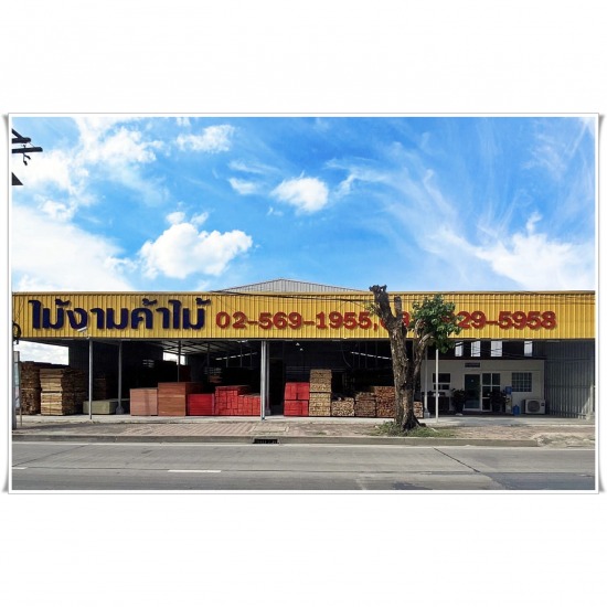 ร้านขายไม้ ปทุมธานี ขายส่งไม้ปทุมธานี  ร้านขายไม้ลำลูกกา  ร้านขายไม้ปทุมธานี  ร้านขายไม้รังสิต 