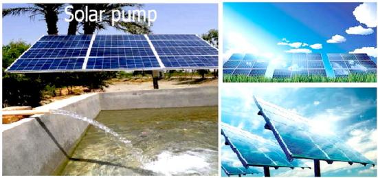 ปั๊มน้ำพลังงานแสงอาทิตย์ ระบบโซล่าร์ปั๊ม Solar Pump โซล่าร์รูฟท็อฟ solar rooftop  เครื่องทำน้ำอุ่นพลังงานแสงอาทิตย์ solar hot water  ไฟส่องสว่างพลังงานแสงอาทิตย์ solar street light  ระบบโรงเรือนปลูกพืช  heat pump & hybrid system  ปั๊มน้ำหอยโข่ง  วาล์วรักษาความปลอดภัย  ปั๊มน้ำบาดาล 