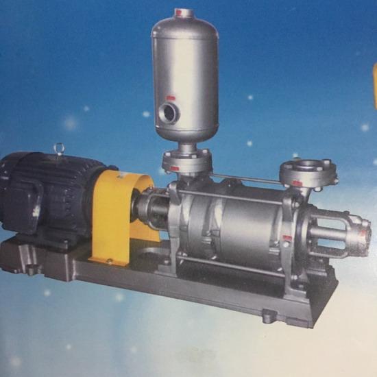 Liquid Ring Vacuum Pump liquid ring vacuum pump  vacuum pump 