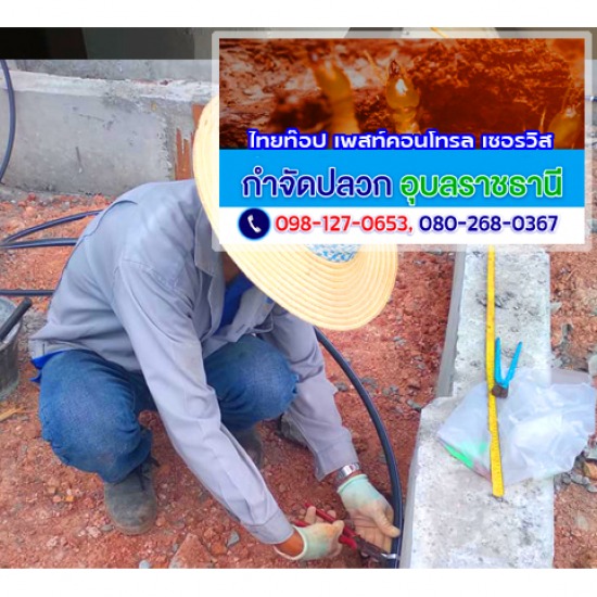 งานวางท่อ(LDPE) อัดน้ำยาเคมีกำจัดปลวก งานวางท่อเคมีและอัดน้ำยากำจัดปลวกอำนาจเจริญ  เจาะพื้นอัดน้ำยากำจัดปลวกอุบลราชธานี  กำจัดปลวกอุบลราชธานี  พ่นน้ำยาป้องกันปลวกยโสธร  เจาะอัดพื้นพ่นน้ำยาเคมีป้องกันปลวกอุยบลฯ  วางท่อพ่นเคมีใต้อาคารอุบล  พ่นน้ำยากำจัดปลวกเคลือบผิวดินอุบลฯ  วางท่อกำจัดปลวกอุบลราชธานี  อัดน้ำยาเข้าท่อกำจัดปลวกอุบลราชธานี  งานวางท่อเคมีป้องกันปลวกศรีสะเกษ 