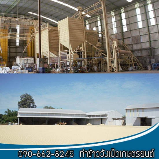 โรงสีข้าวพิษณุโลก รับซื้อข้าวหอมมะลิ ข้าวเสาไห้ โรงสีข้าวพิษณุโลก รับซื้อข้าวหอมมะลิ ข้าวเสาไห้ 