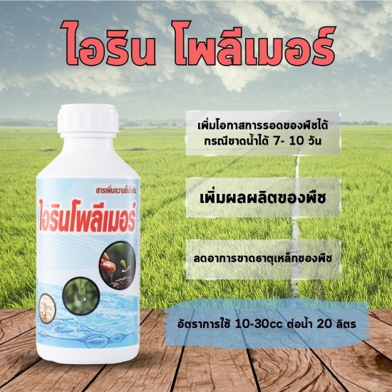 ไอรินโพลิเมอร์ ไอรินโพลิเมอร์ 