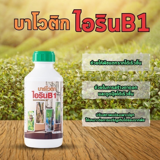 บาร์โวติก ไอริน B1 บาร์โวติก ไอริน B1 