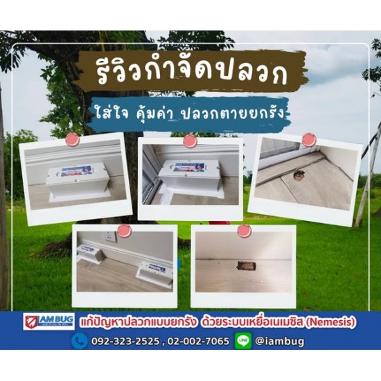 บริษัทกำจัดปลวก ราคาถูก บริษัทกำจัดปลวก ราคาถูก  กำจัดปลวกราคากันเอง  กำจัดปลวกราคาไม่แพง  บริษัทฉีดปลวกใกล้ฉัน  บริษัทกำจัดปลวกปทุมธานี  วางท่อกำจัดปลวกราคาถูก  บริษัทกำจัดแมลงสาบรังสิต  รับวางท่อกำจัดปลวก  กำจัดปลวกยกรัง ลำลูกกา  บริษัทรับฉีดปลวก ปทุมธานี 