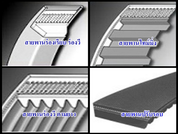 สายพาน สายพานส่งกำลัง สายพานเครื่องจักร สายพานเครื่องยนต์ สายพานปรับสปีด  ตะแกรงเหล็กฉีก  ผลิตตะแกรงเหล็ก  ตะแกรงเหล็ก  ตะแกรงเจาะรู  ตะแกรงสแตนเลส  ตะแกรงสเตนเลส  ตะแกรงอลูมิเนียม  สายพาน  สายพานลำเลียง  สายพานผ้าใบ  สายพานส่งกำลัง  ตลับลูกปืน  โซ่  โซ่เฟือง  เฟืองโซ่  มู่เล่ย์  ยางยอย 