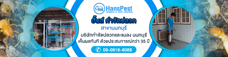 ฮั้นส์ กำจัดปลวก สาขานนทบุรี