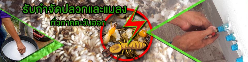 บริษัท กรีนพลัส เพส์ท คอนโทรล จำกัด